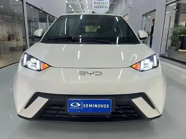 BYD Dolphin Mini - Imagem 1