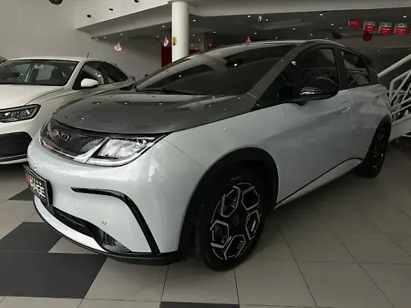 BYD Dolphin Plus - Imagem 9