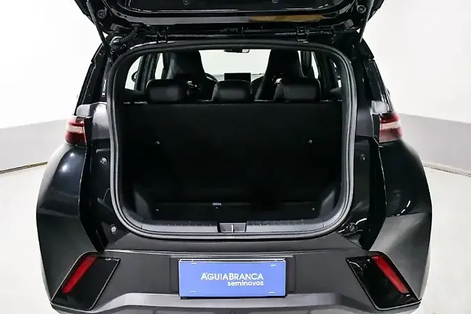 BYD Dolphin Mini - Imagem 20