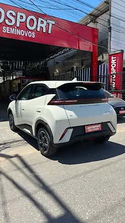 BYD Dolphin Mini - Imagem 19