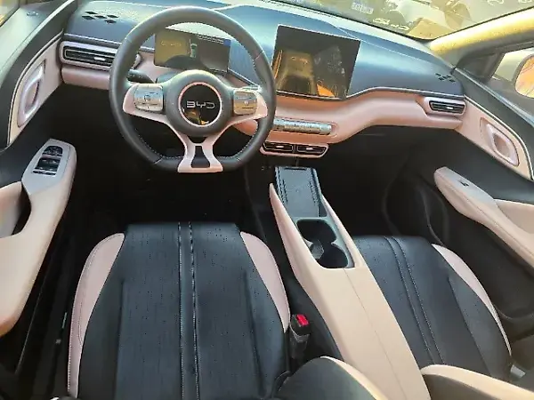 BYD Dolphin Mini - Imagem 5