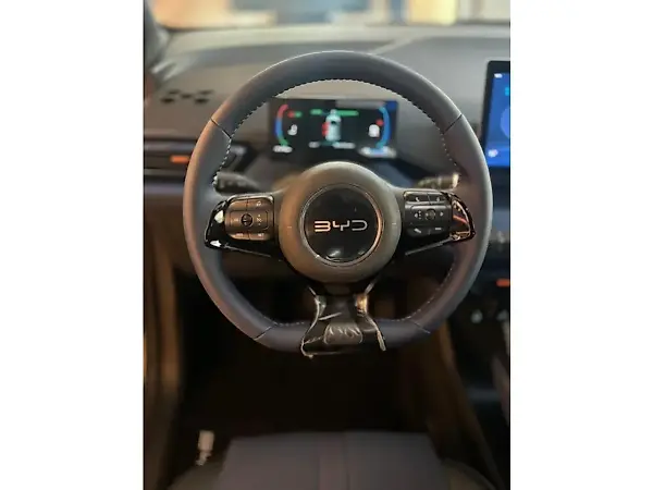 BYD Dolphin Mini - Imagem 8
