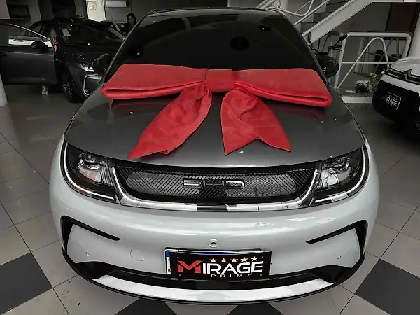 BYD Dolphin Plus - Imagem 13