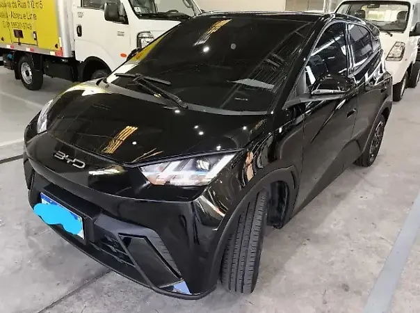 BYD Dolphin Mini - Imagem 1