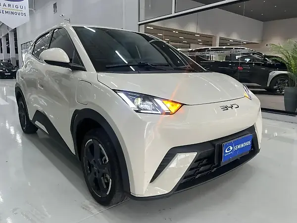 BYD Dolphin Mini - Imagem 18