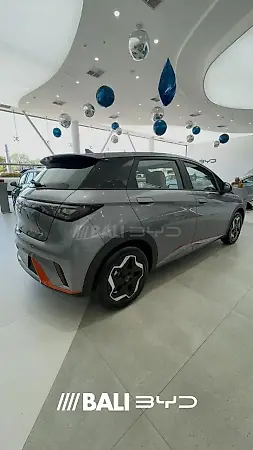 BYD Dolphin - Imagem 1