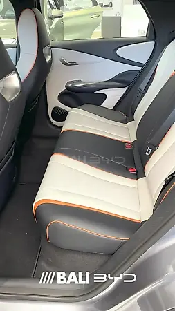 BYD Dolphin - Imagem 6