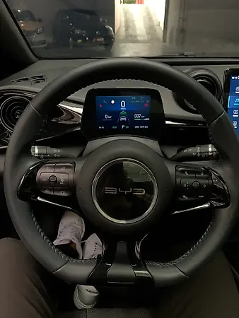 BYD Dolphin Plus - Imagem 13