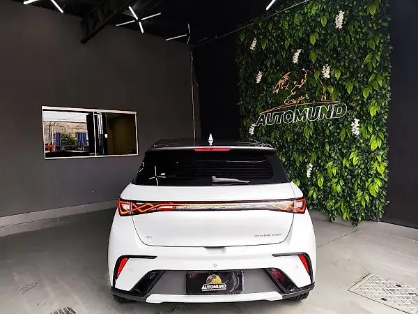 BYD Dolphin Plus - Imagem 14