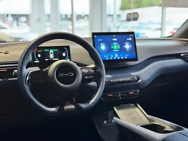 BYD Dolphin Mini - Imagem 13