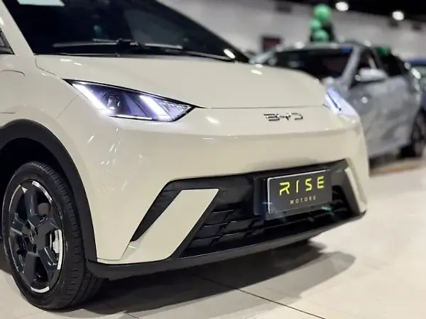 BYD Dolphin Mini - Imagem 12