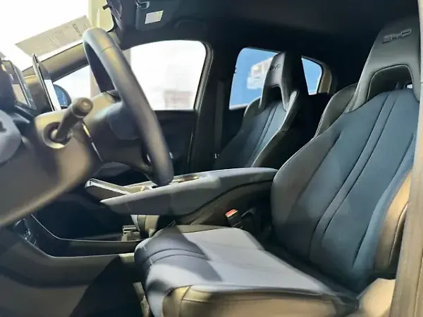 BYD Dolphin Mini - Imagem 18