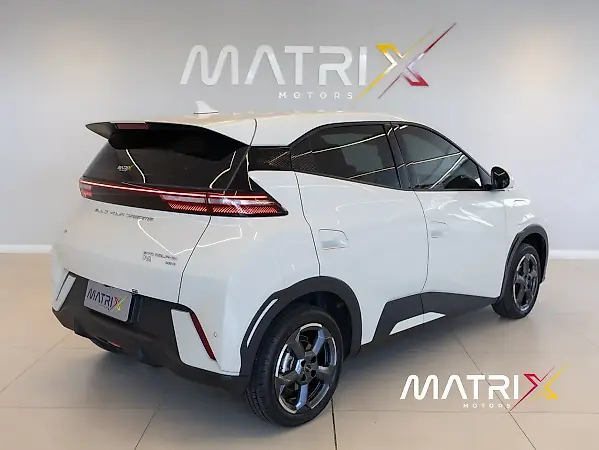 BYD Dolphin Mini - Imagem 20