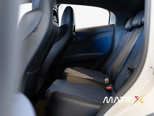 BYD Dolphin Mini - Imagem 16