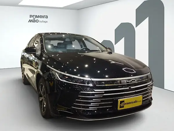 BYD King - Imagem 2