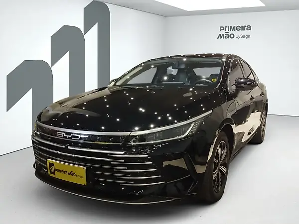 BYD King - Imagem 1