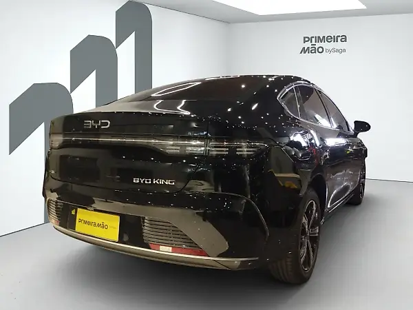 BYD King - Imagem 4