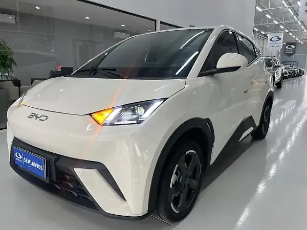 BYD Dolphin Mini - Imagem 5
