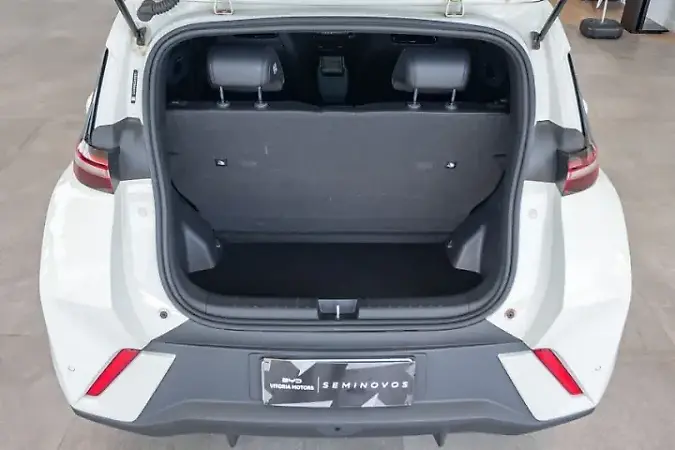 BYD Dolphin Mini - Imagem 20