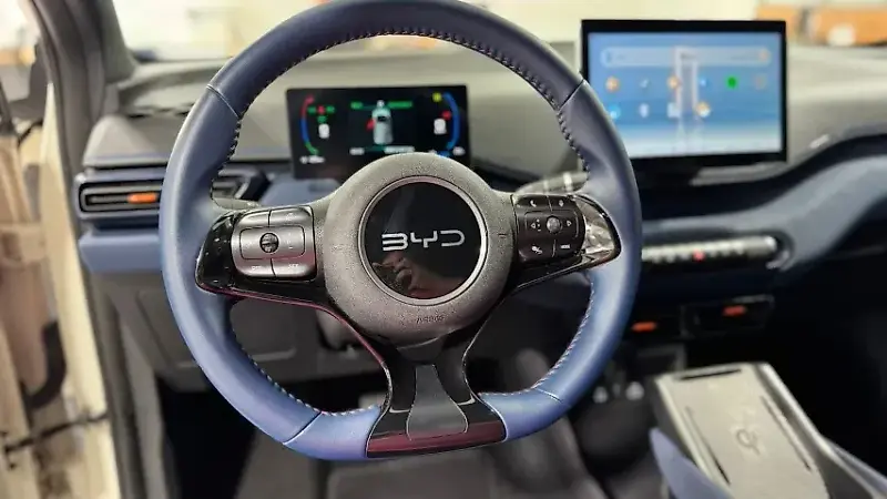 BYD Dolphin Mini - Imagem 16