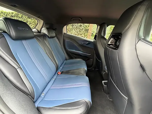 BYD Dolphin Mini - Imagem 8