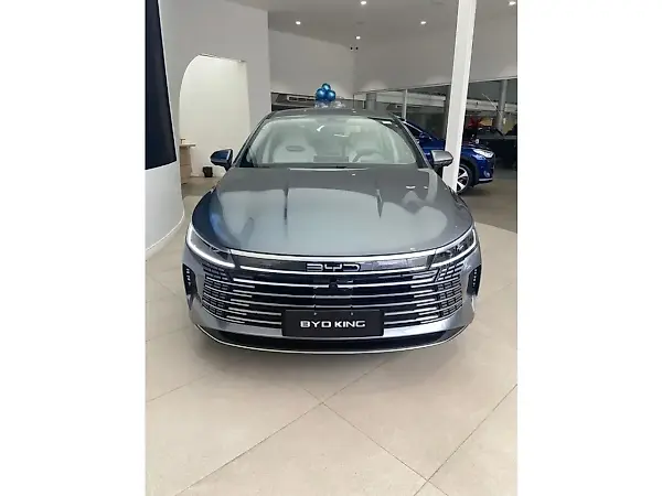 BYD King - Imagem 3