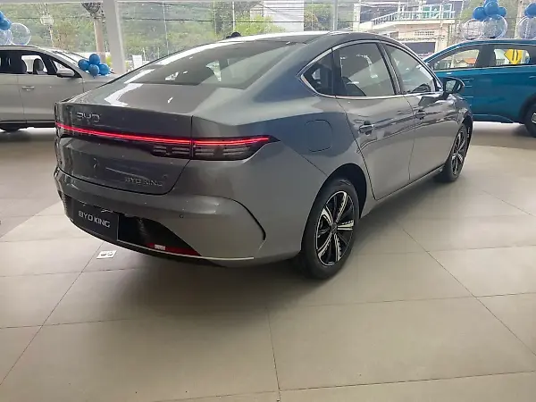 BYD King - Imagem 4