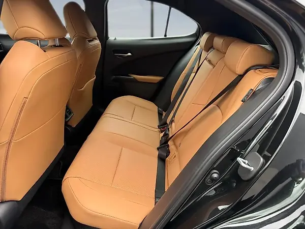 Lexus Ux 300e - Imagem 12