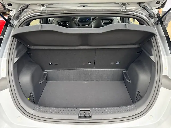 BYD Dolphin Plus - Imagem 13