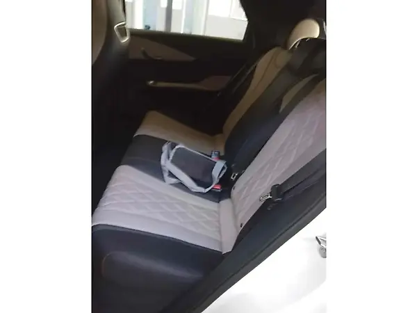 BYD Dolphin Plus - Imagem 9