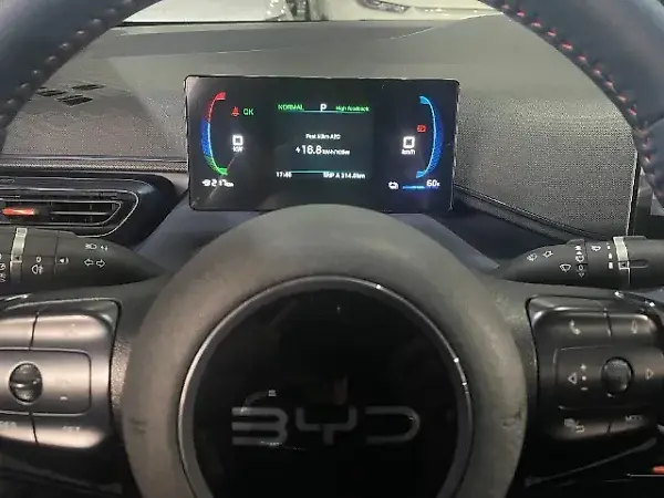 BYD Dolphin Mini - Imagem 14
