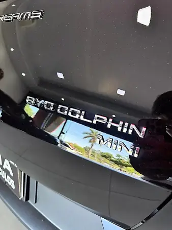 BYD Dolphin Mini - Imagem 19