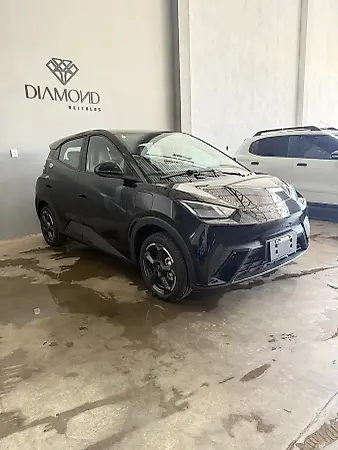 BYD Dolphin Mini - Imagem 9
