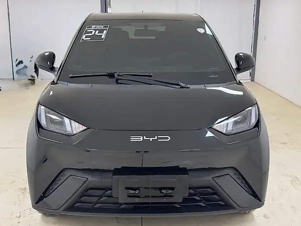 BYD Dolphin - Imagem 1