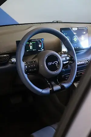 BYD Dolphin Mini - Imagem 16