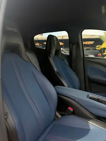 BYD Dolphin Mini - Imagem 11