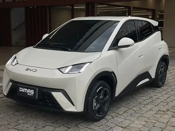 BYD Dolphin Mini - Imagem 1