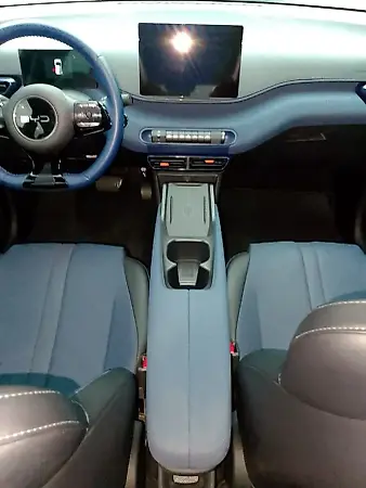 BYD Dolphin Mini - Imagem 13