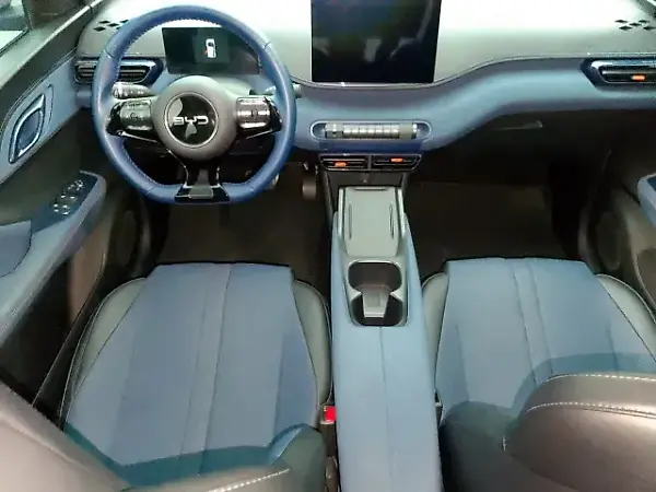 BYD Dolphin Mini - Imagem 11