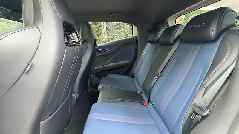 BYD Dolphin Mini - Imagem 13
