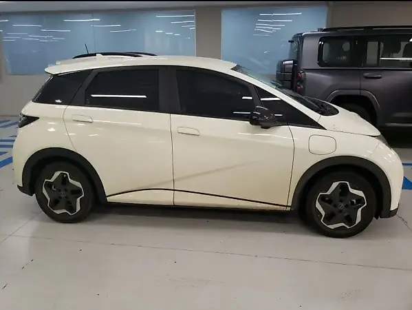 BYD Dolphin - Imagem 1
