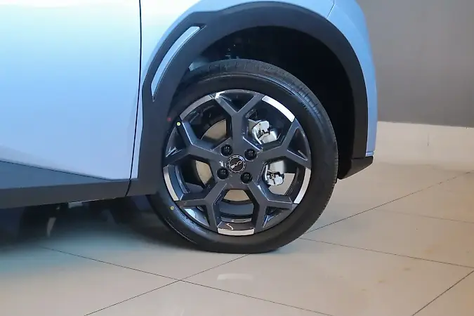 BYD Dolphin Mini - Imagem 12