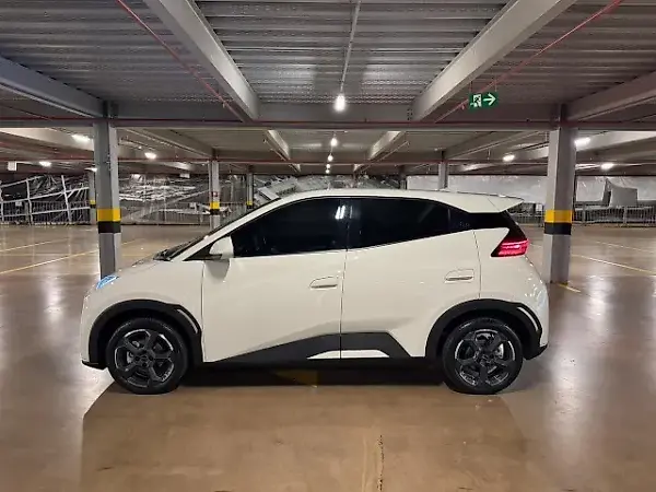 BYD Dolphin Mini - Imagem 2