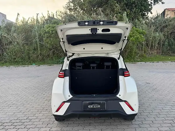 BYD Dolphin Mini - Imagem 11