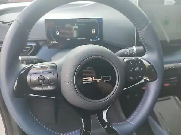 BYD Dolphin Mini - Imagem 11