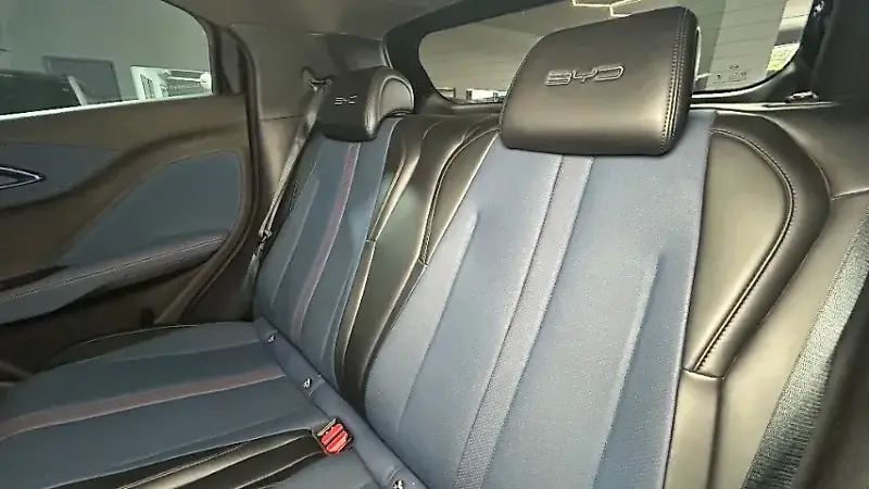 BYD Dolphin Mini - Imagem 15