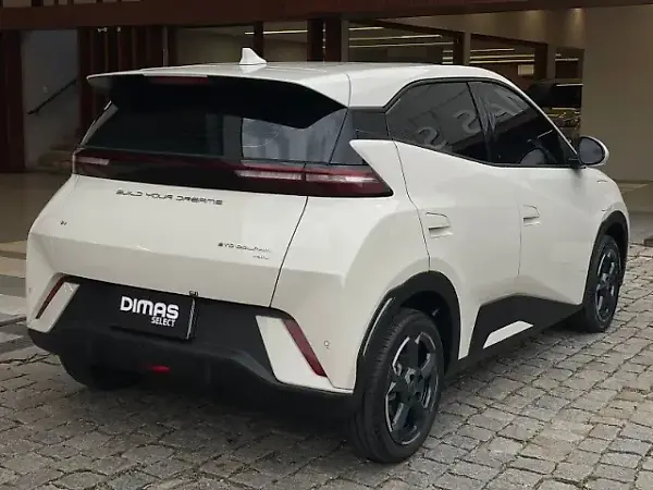 BYD Dolphin Mini - Imagem 6