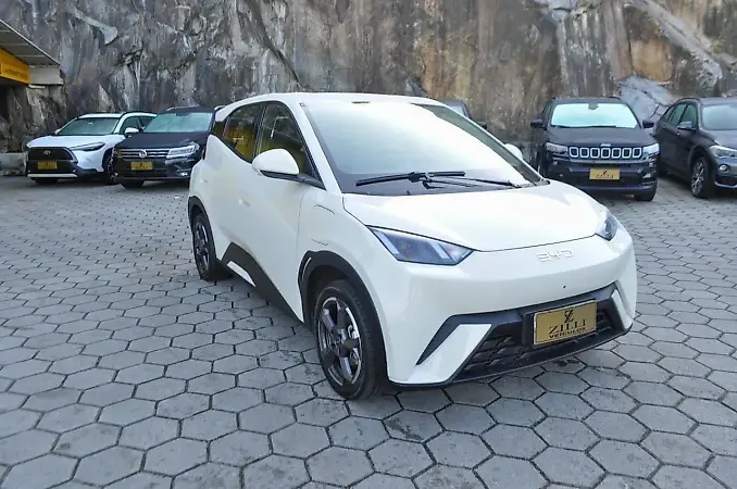 BYD Dolphin Mini - Imagem 1