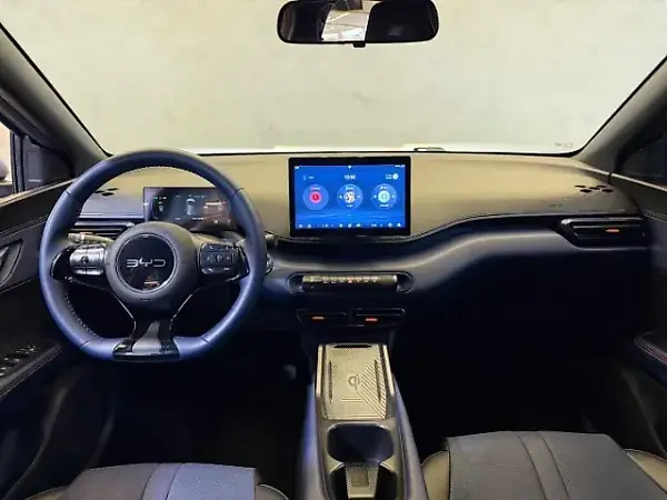 BYD Dolphin Mini - Imagem 16