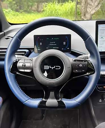 BYD Dolphin Mini - Imagem 11